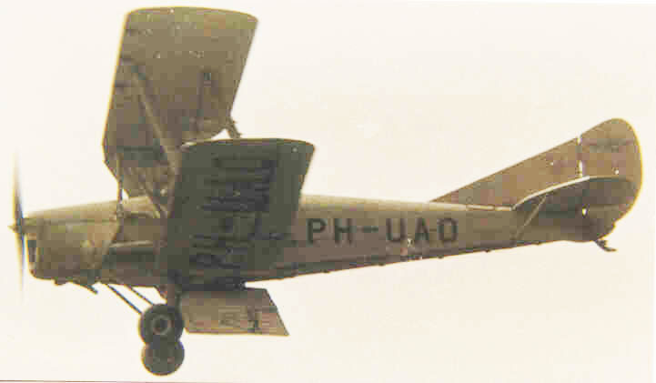 PHUAOdorsal-fin721px